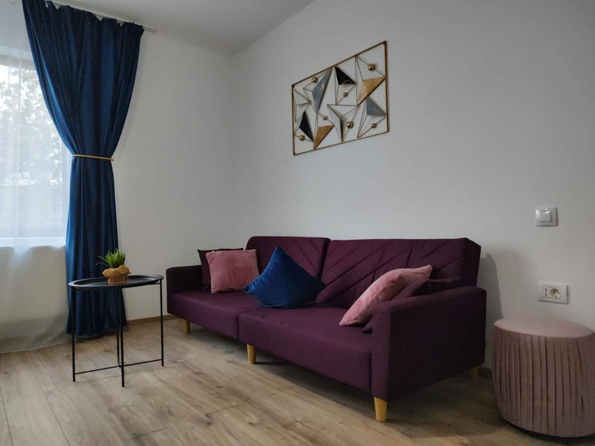 Dania&Petru Residence Tirgu Ocna Luaran gambar