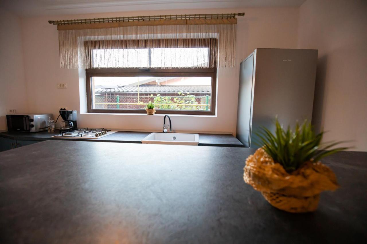 Dania&Petru Residence Tirgu Ocna Luaran gambar
